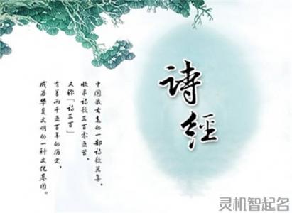 诗经里落落大方的男孩女孩名字大全